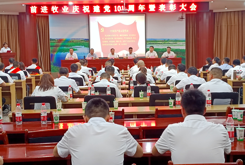 1670399233450716.jpg dzz2.jpg