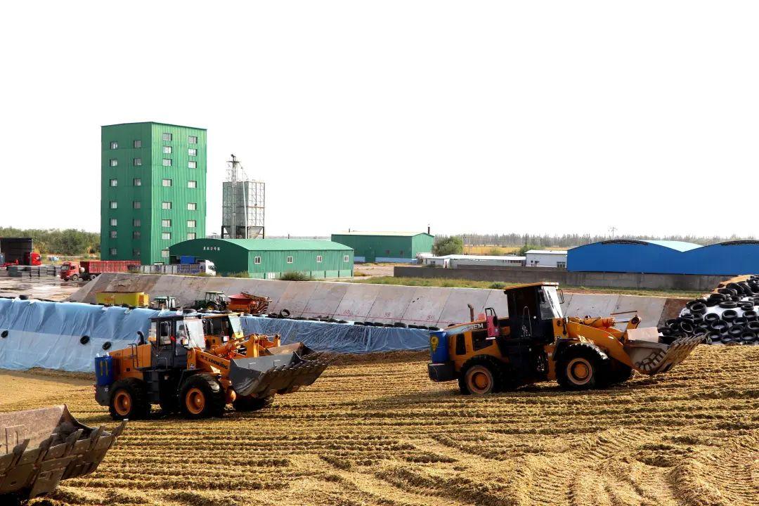 1676421941303579.jpg 1010.jpg