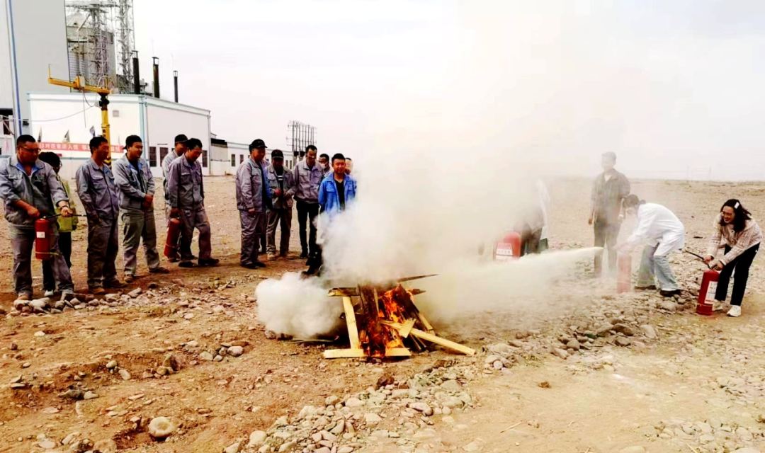 1681258793860869.png 1.png