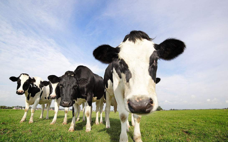 1681872802130705.png 22.png