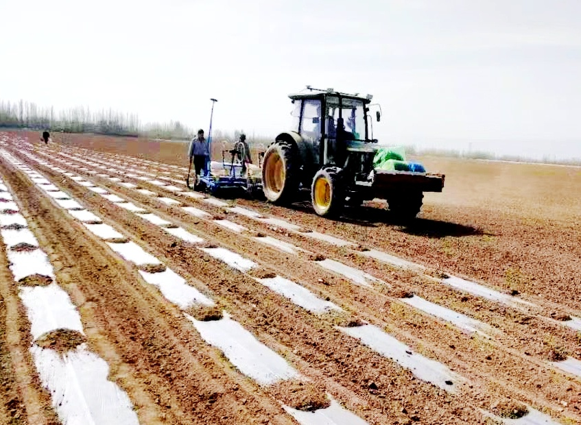 1681875784390099.png 3.png