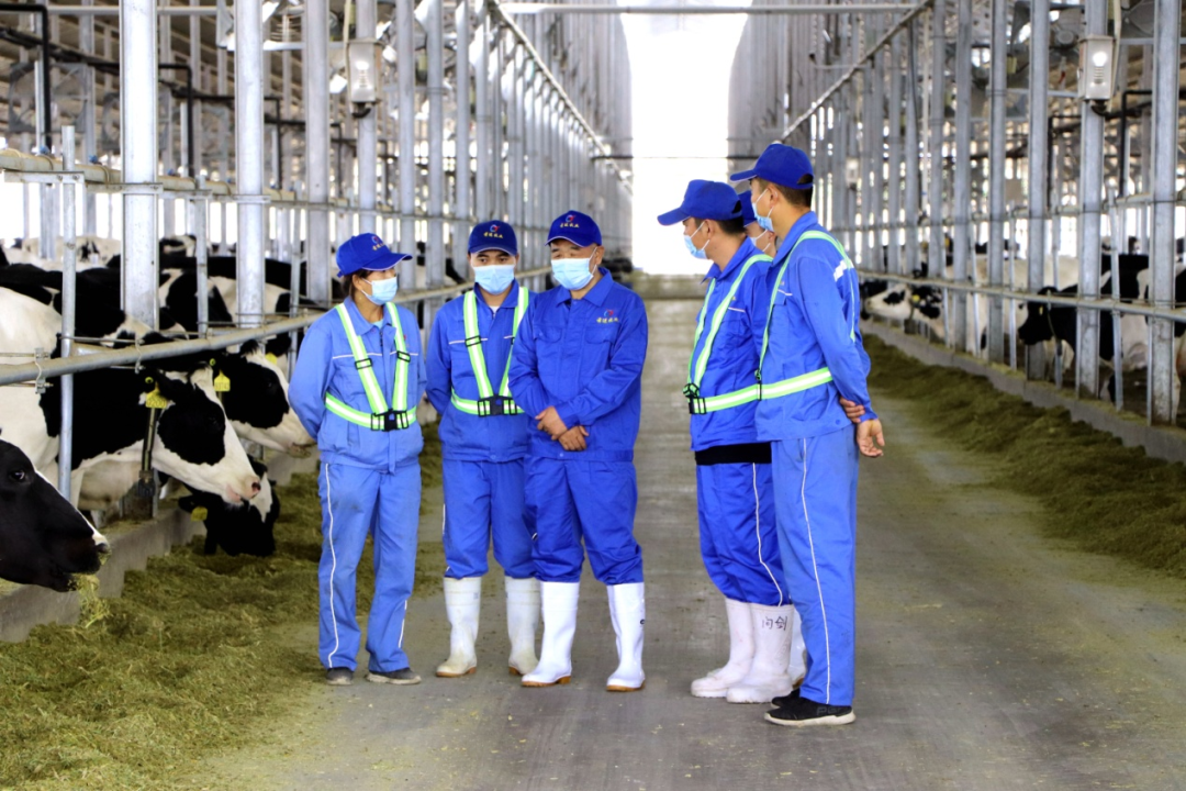 1681890958112564.png 2.png