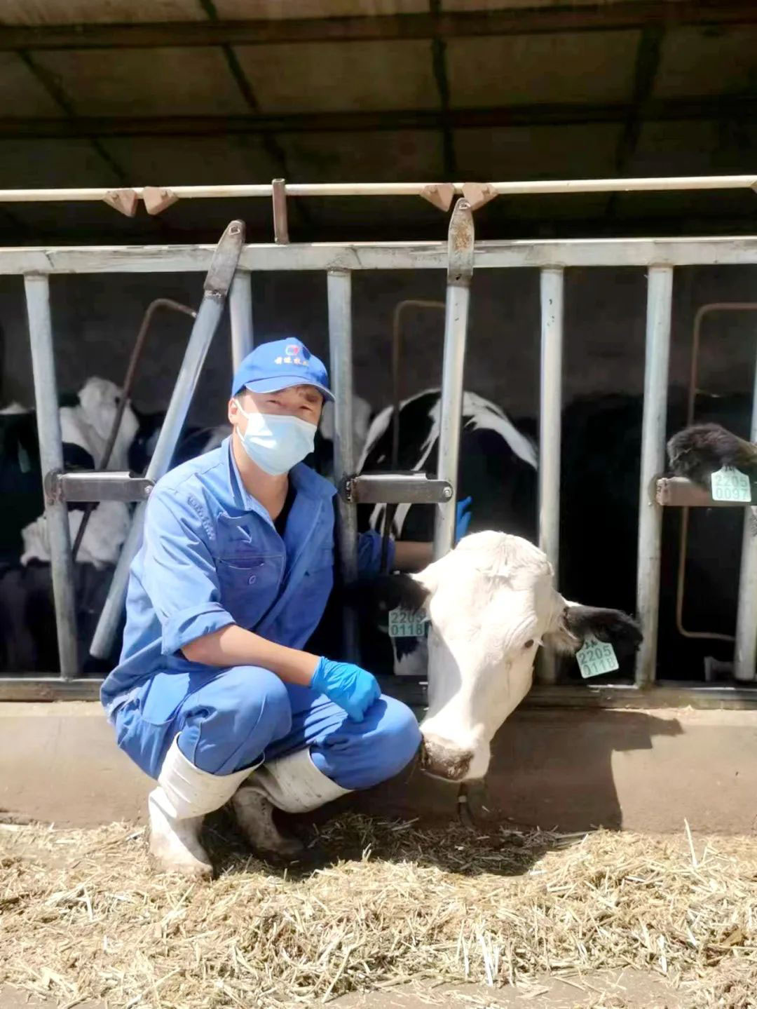 1686903536141408.jpg 640.jpg