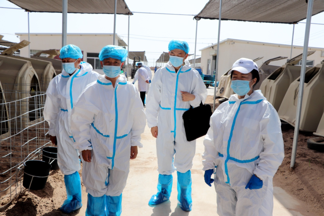 1687250855644893.png 640 (8).png