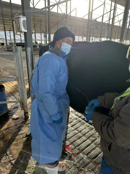 1687681535283743.png 640 (1).png