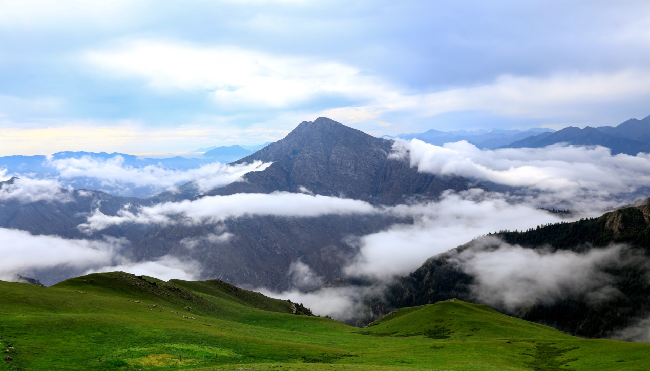 1688780275128762.png 4.png