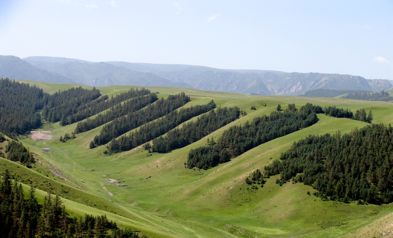 1688780311147421.png 5.png