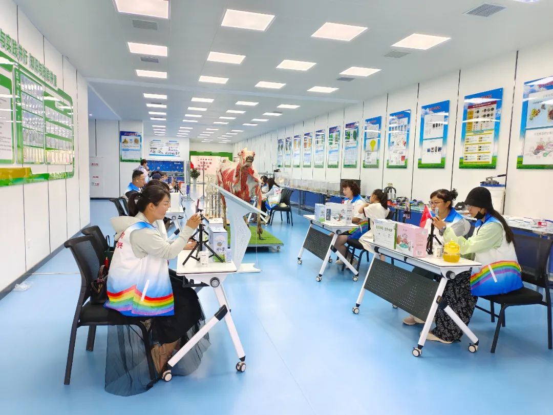 1689907336632355.jpg 640 (11).jpg