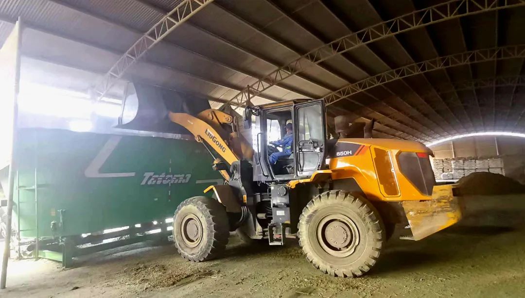 1693635968206692.jpg 640.jpg