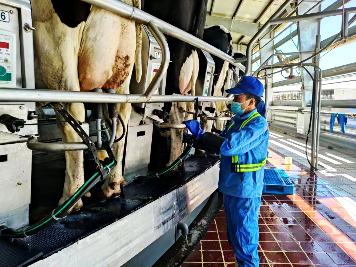 1694306181322654.png 图片1.png