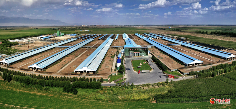 1694651752196100.jpg 00301639307_0f0e8da8.jpg