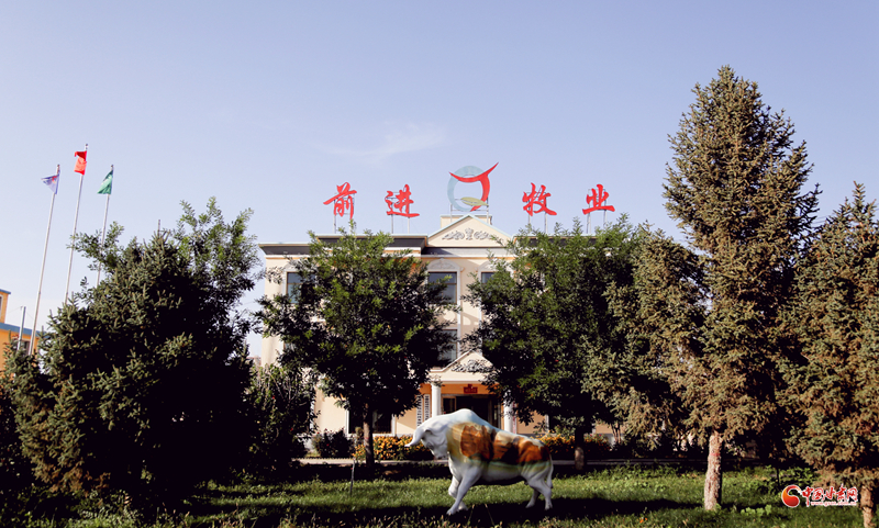 1694651770410070.jpg 00301639308_c6c9e751.jpg