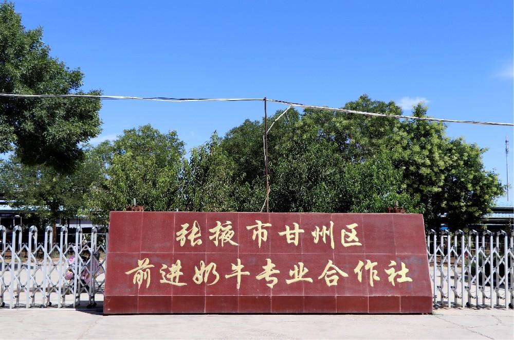 张掖市甘州区前进奶牛专业合作社 (前进集团前进牧场)