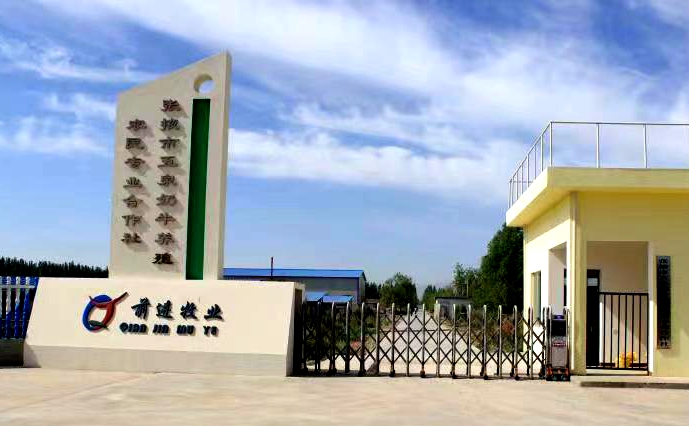 张掖市五泉奶牛养殖农民专业合作社 (前进集团五泉牧场)