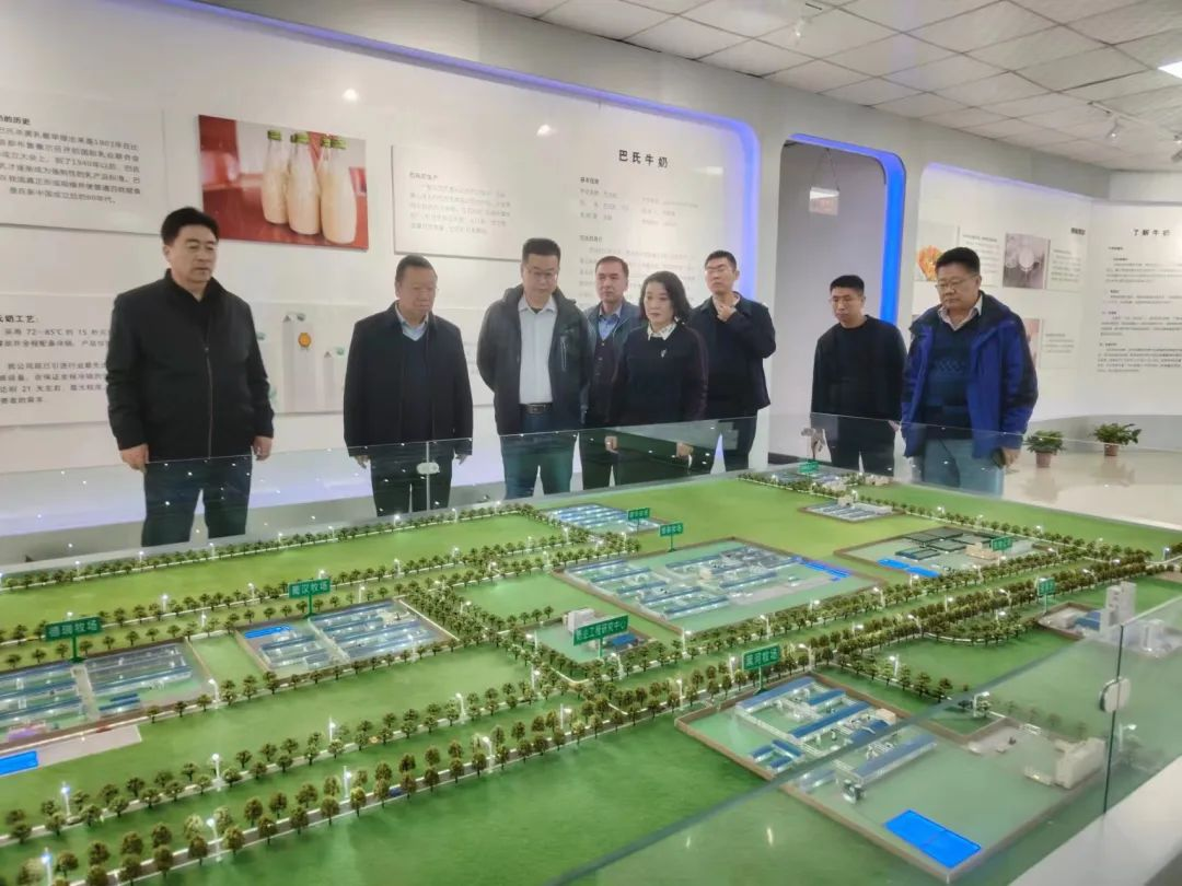 1698194229109273.png 33.png