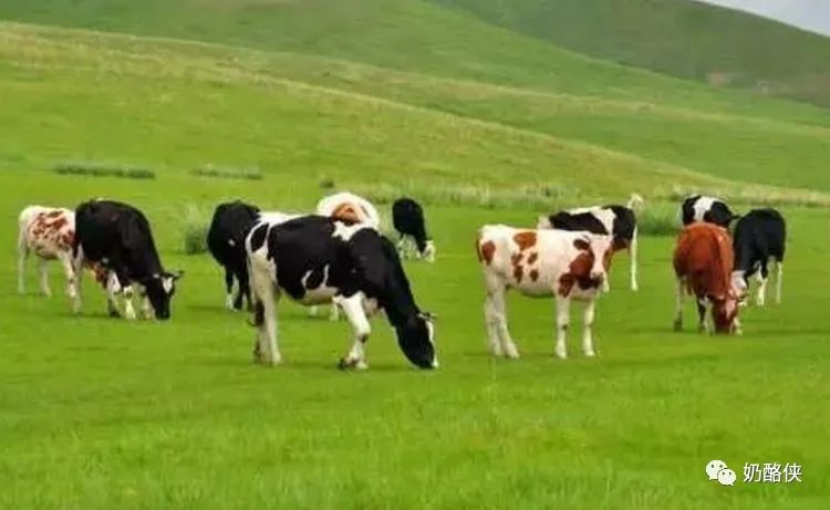 1698626552187271.jpg 1.jpg