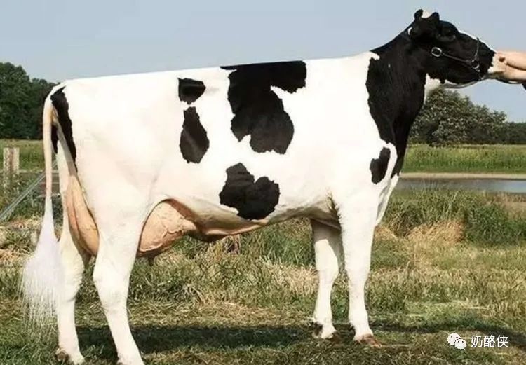 1698626564528979.jpg 2.jpg