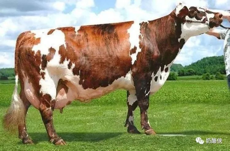 1698626606120499.jpg 6.jpg