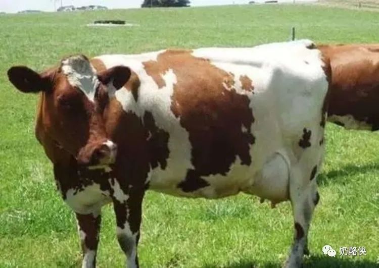 1698626614120898.jpg 7.jpg