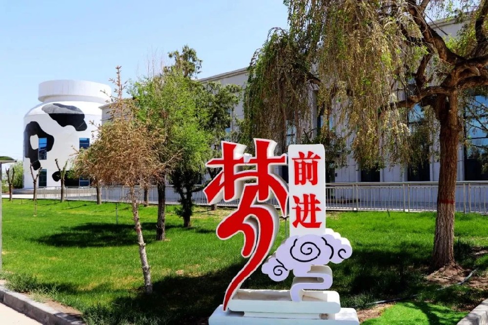 拼搏无声,青春无悔