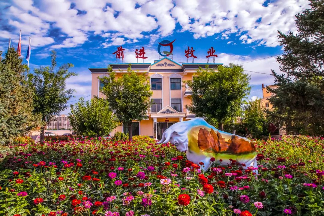 1701389954133624.jpg 640.jpg